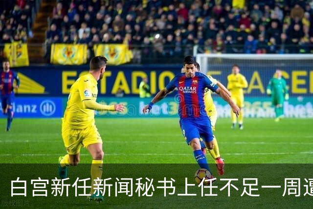 白宫新任新闻秘书上任不足一周遭解职，因履历问题引发争议